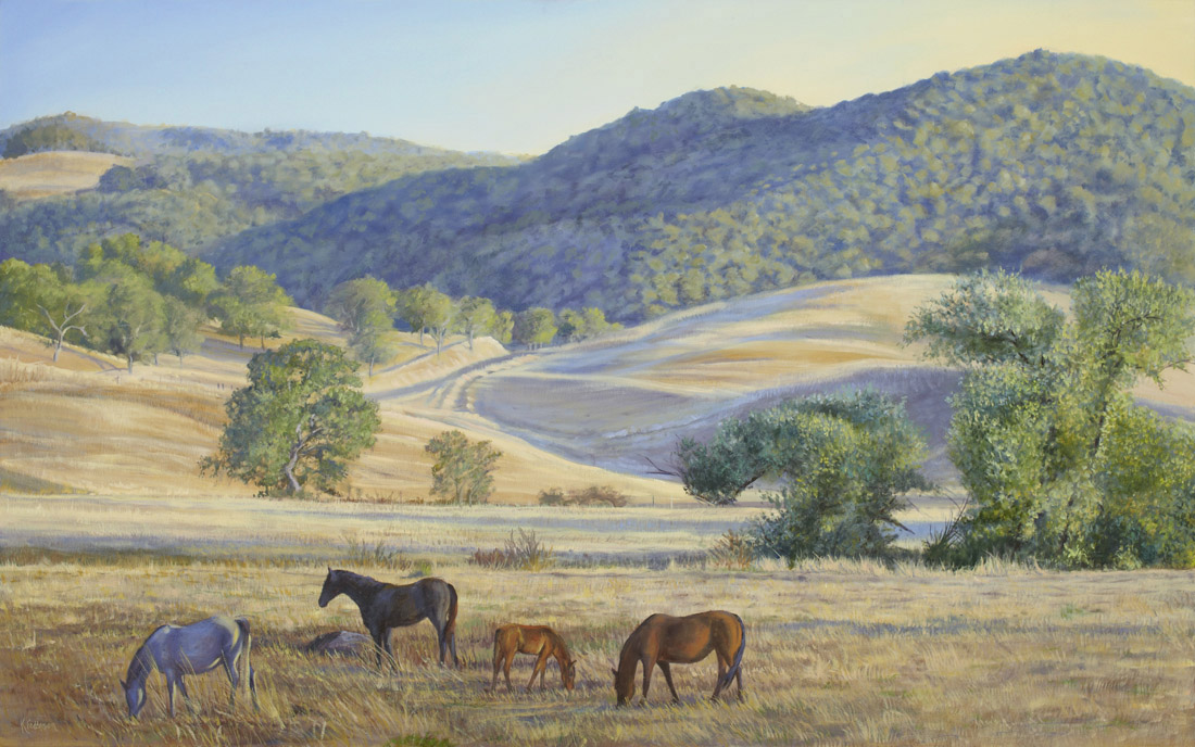 carmel golden hills landscape