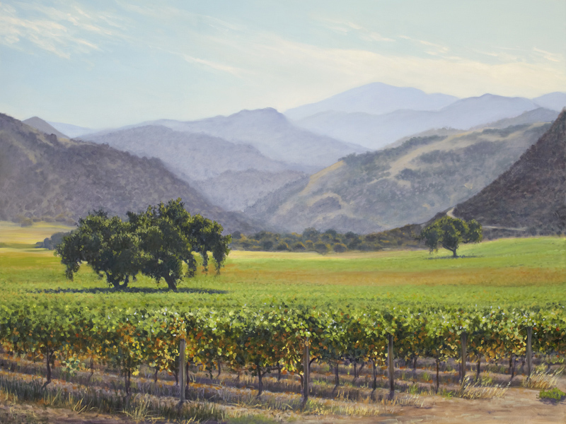 carmel vineyard