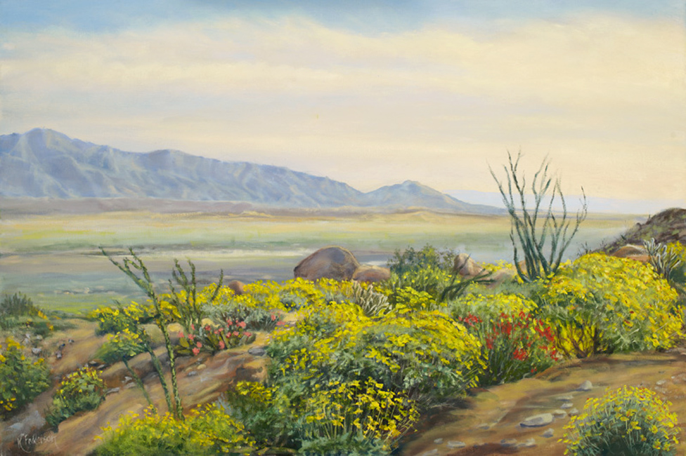 Anza-Borrego wildflowers california spring