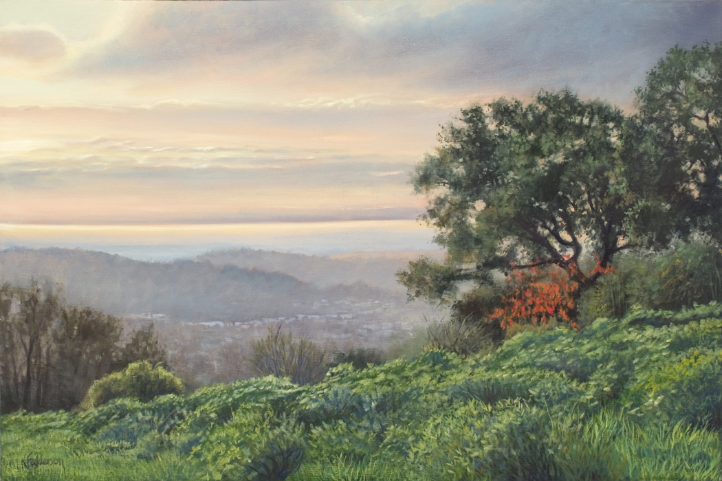 santa barbara view from franchesci park