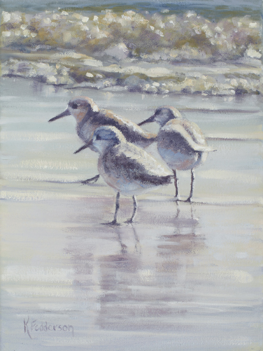 santa barbara beach