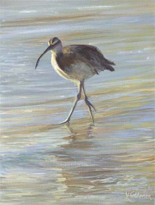 santa beach birds