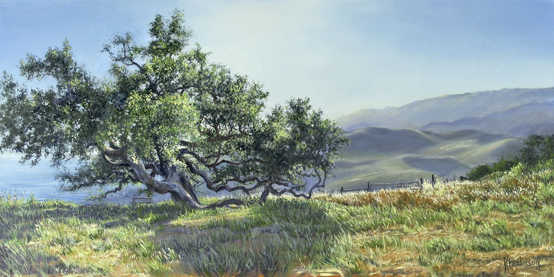 Gaviota Ranch landscape santa barbara CA