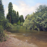 Big Sur Creek reflections