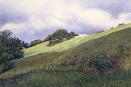 Img of wildflowers along a California Hey