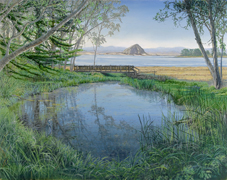 sweet springs