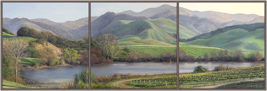 pond in the vineyard