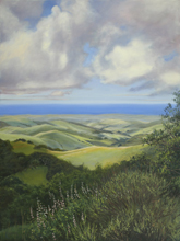 Ocean View in San Luis Obispo crounty side