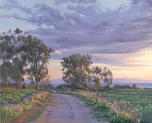 Carpinteria Bluff in the spring at sunset